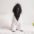 The Penthouse Robe