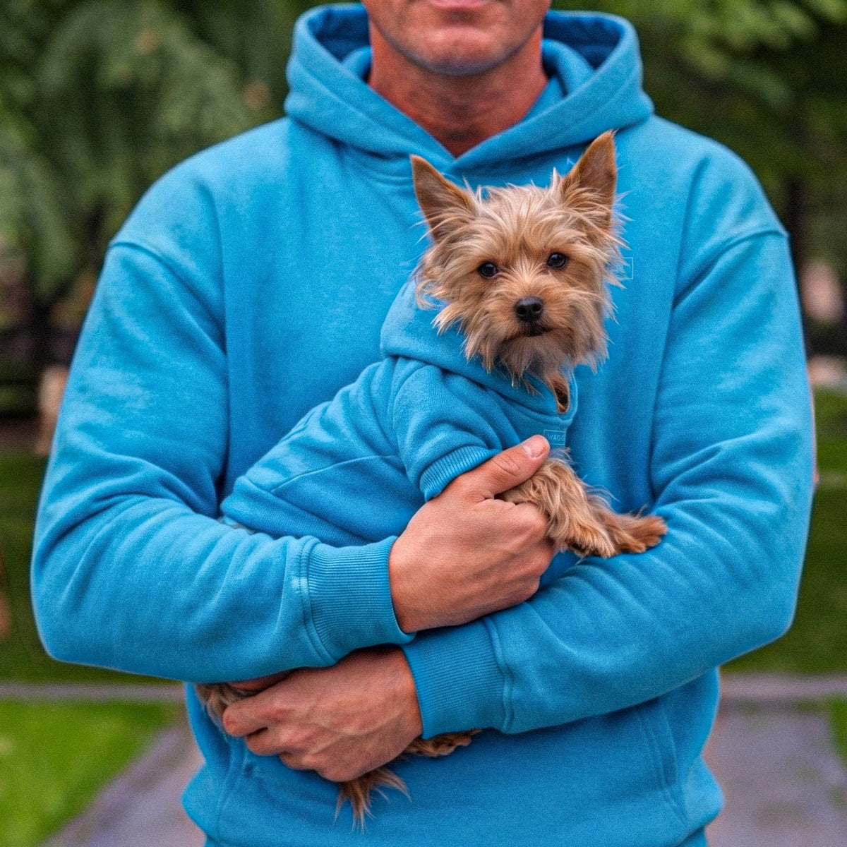 A small tan dog wearing a matching bright blue hoodie is being held by a person in a bright blue hoodie outdoors on a park path with green grass and trees in the background.
