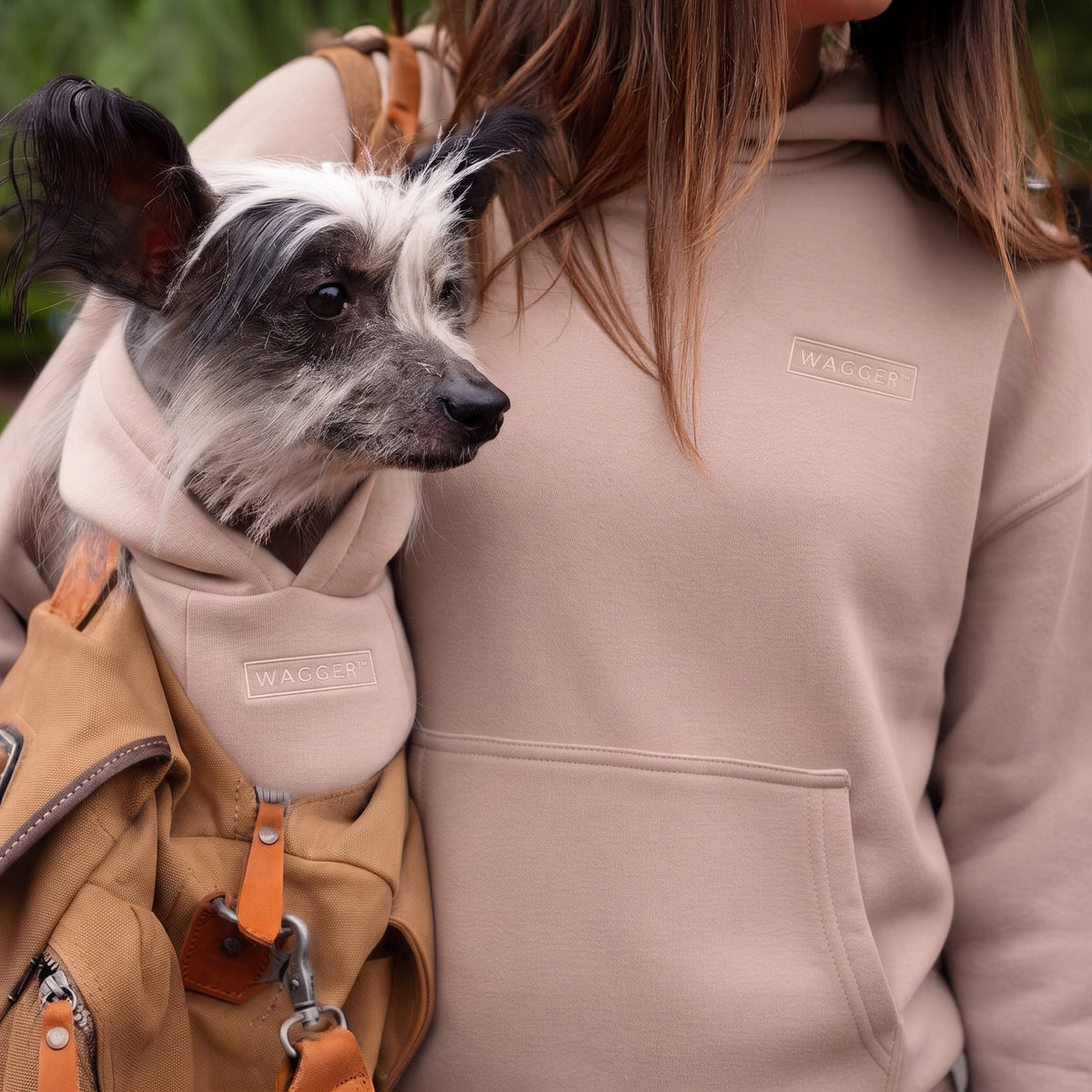 A small black and white dog wearing a tan backpack with a matching beige hooded insert, carried on the shoulders of a woman in a beige hoodie in an outdoor park setting.
