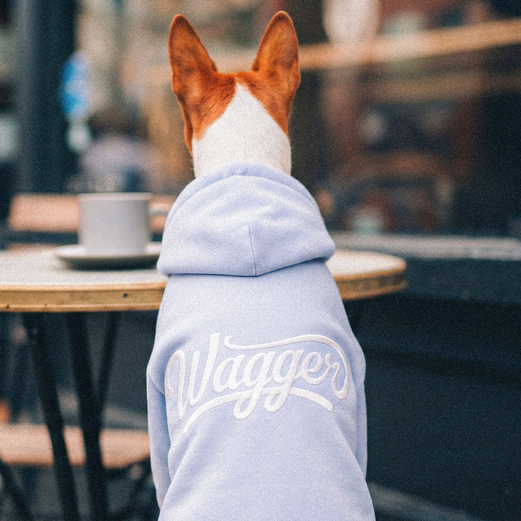 The Newport hoodie