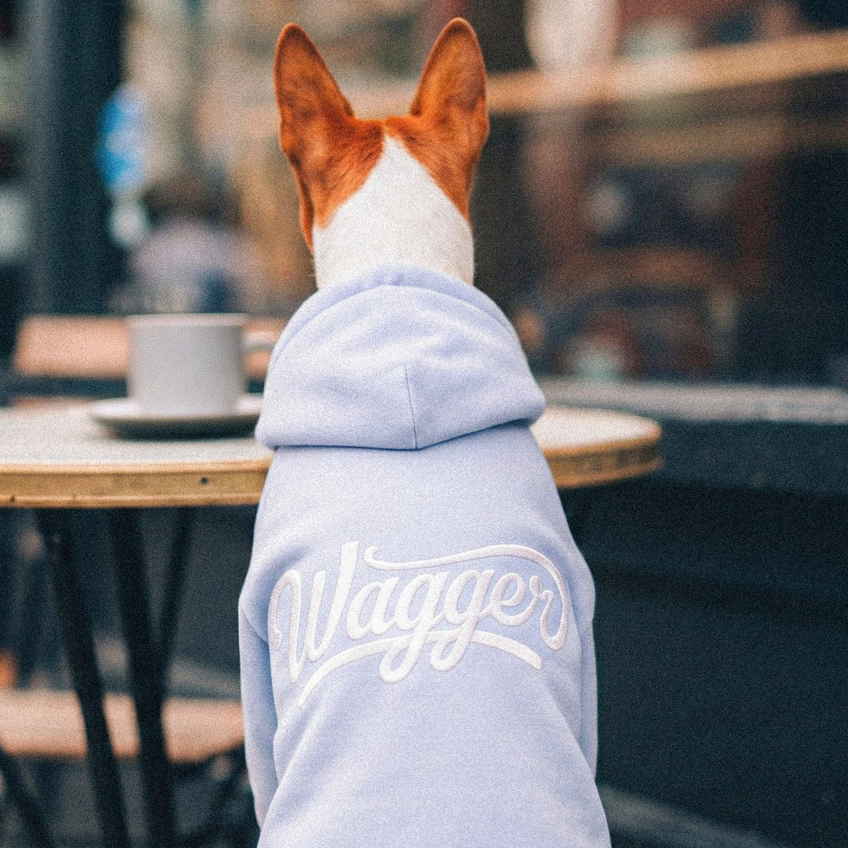 The Newport hoodie