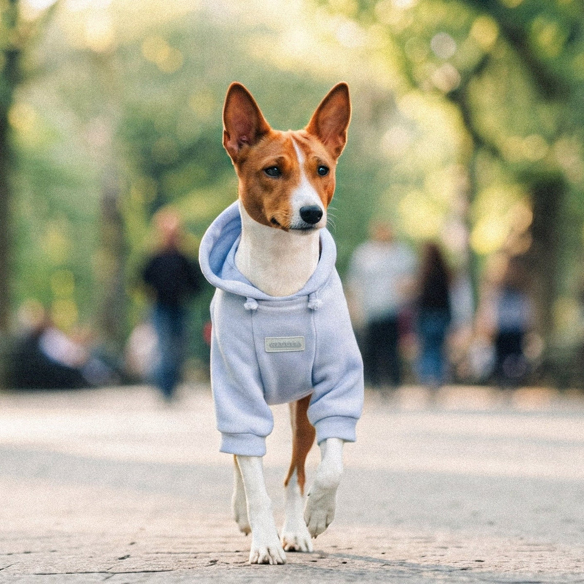 The Newport hoodie