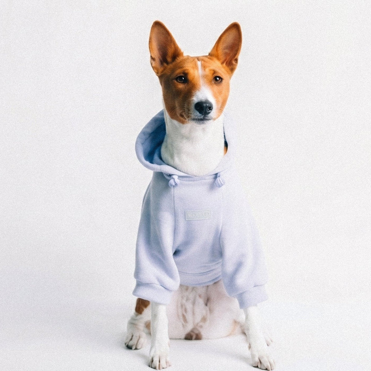 The Newport hoodie