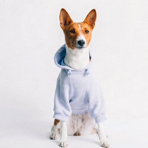 The Newport hoodie
