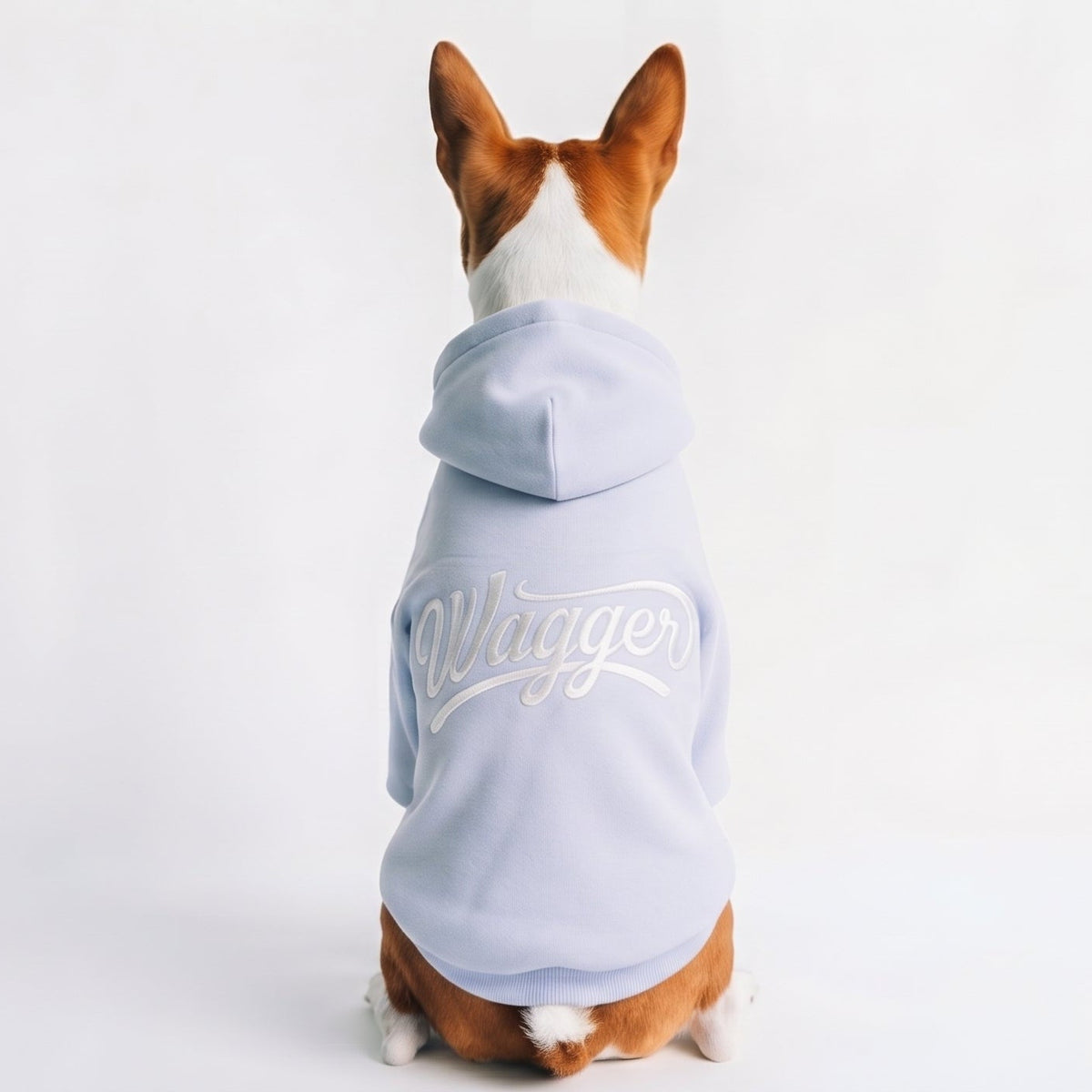 The Newport hoodie