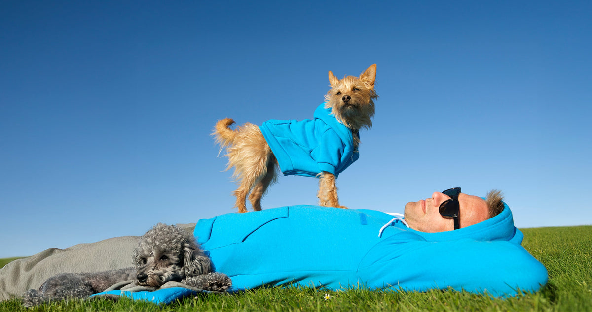 Person lying on grass wearing a blue jacket with a dog standing next to them, both under a clear blue sky.